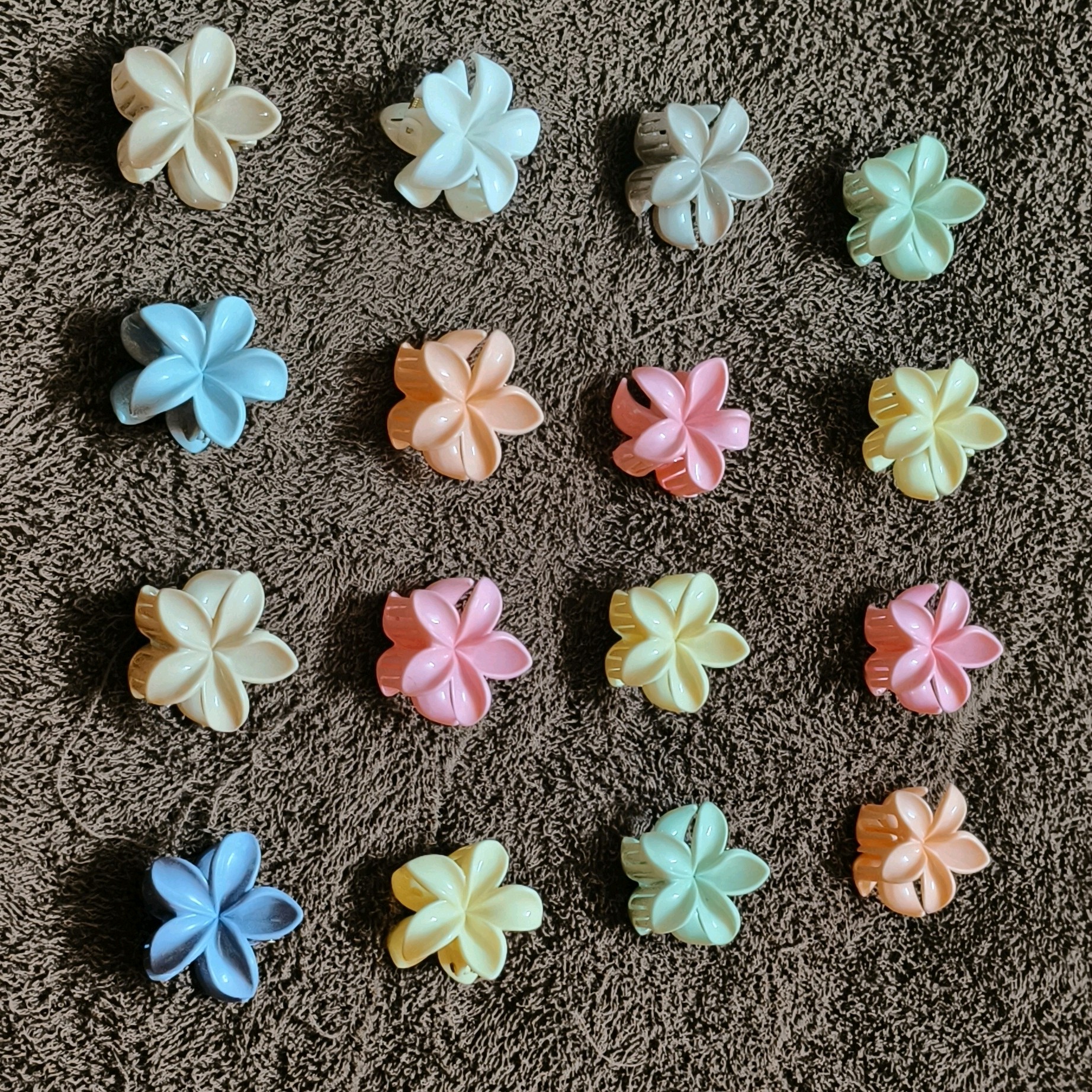 Shining Pattel Clip